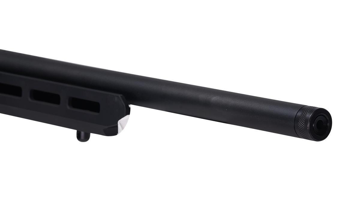 SAVAGE A22 PRECISION. Semi-Automatic, 22 LR, 18” Barrel