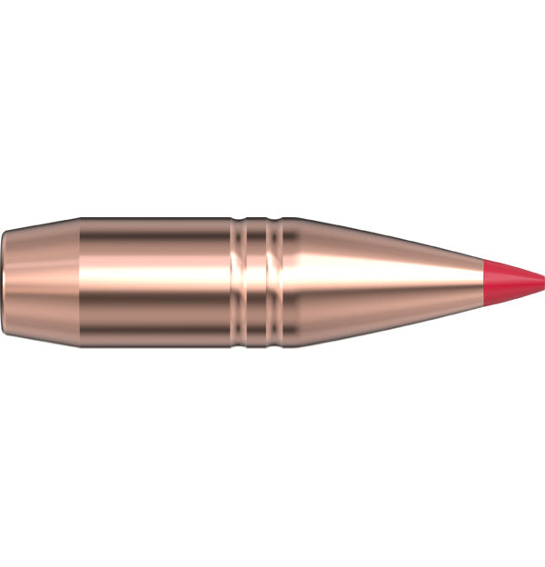 Hornady 250gr .375gr CX