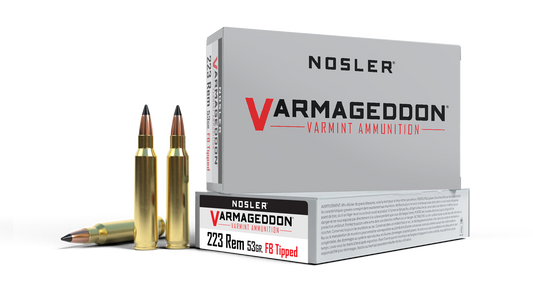 Nosler Varmageddon .223 Remington 153gr Partition (20)