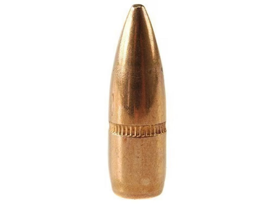 Winchester 55gr .224 (100 count)