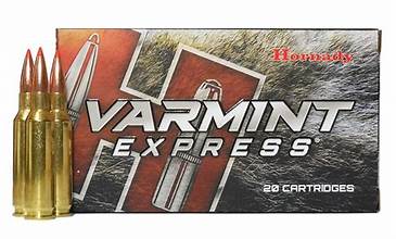 Hornady Varmint Express 6.5 Creedmoor 95gr V-Max (20)
