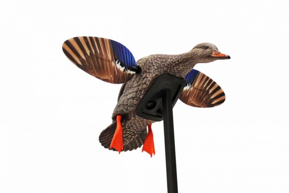 Mojo Es Mini Mallard Hen Decoy