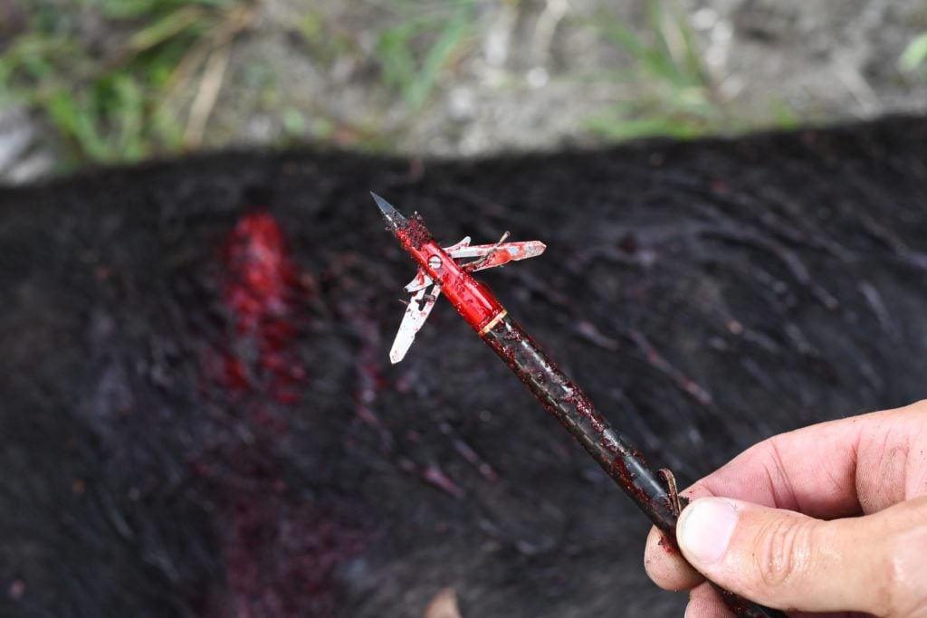 TENPOINT EVO-XBOW 100g Centerpunch Broadhead