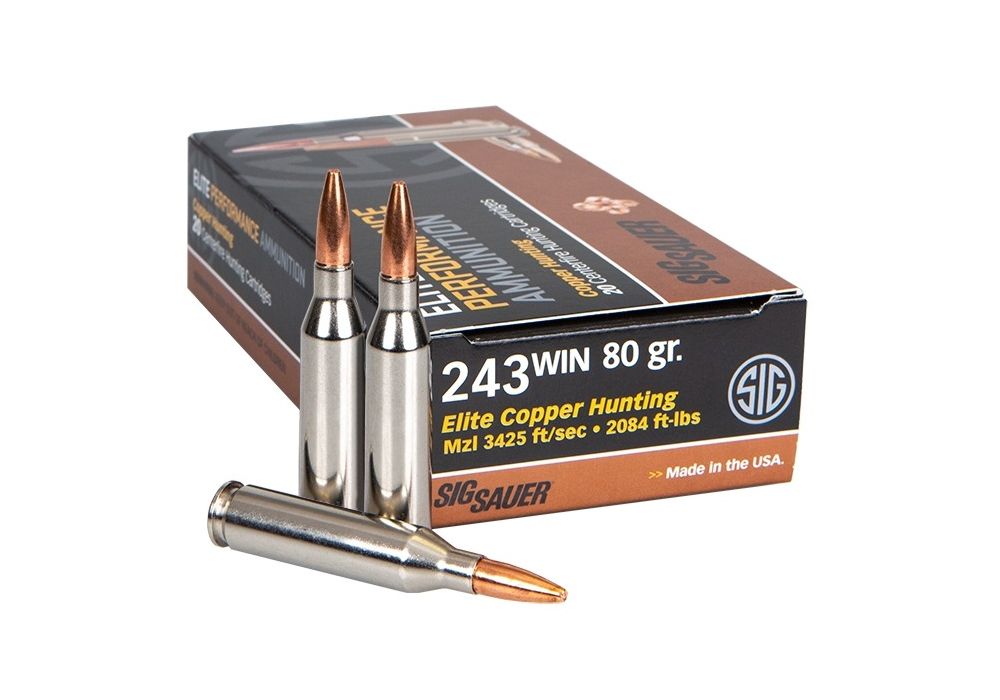 Ammo 243 Winchester 80GR Elite Copper Hunting Box/20